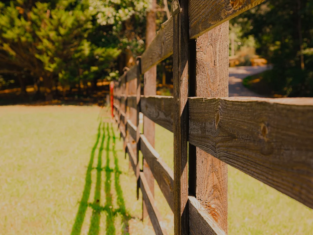 A clean natural-wood privacy fence.