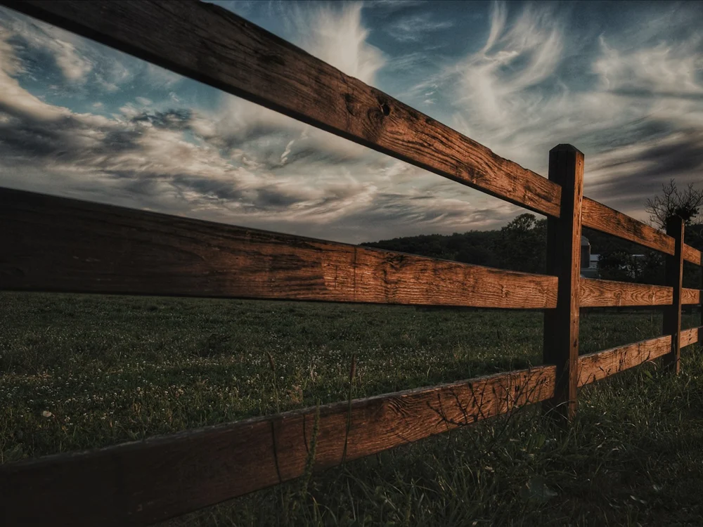 A wood fence finished with a rich protective stain.